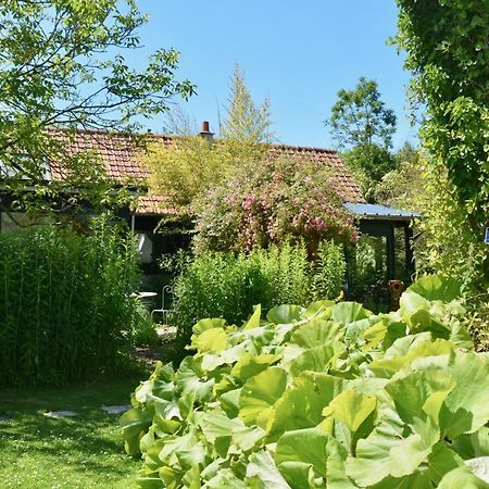 Chambres D'Hotes, Gites La Petite Madeleine La Madelaine-sous-Montreuil Eksteriør billede